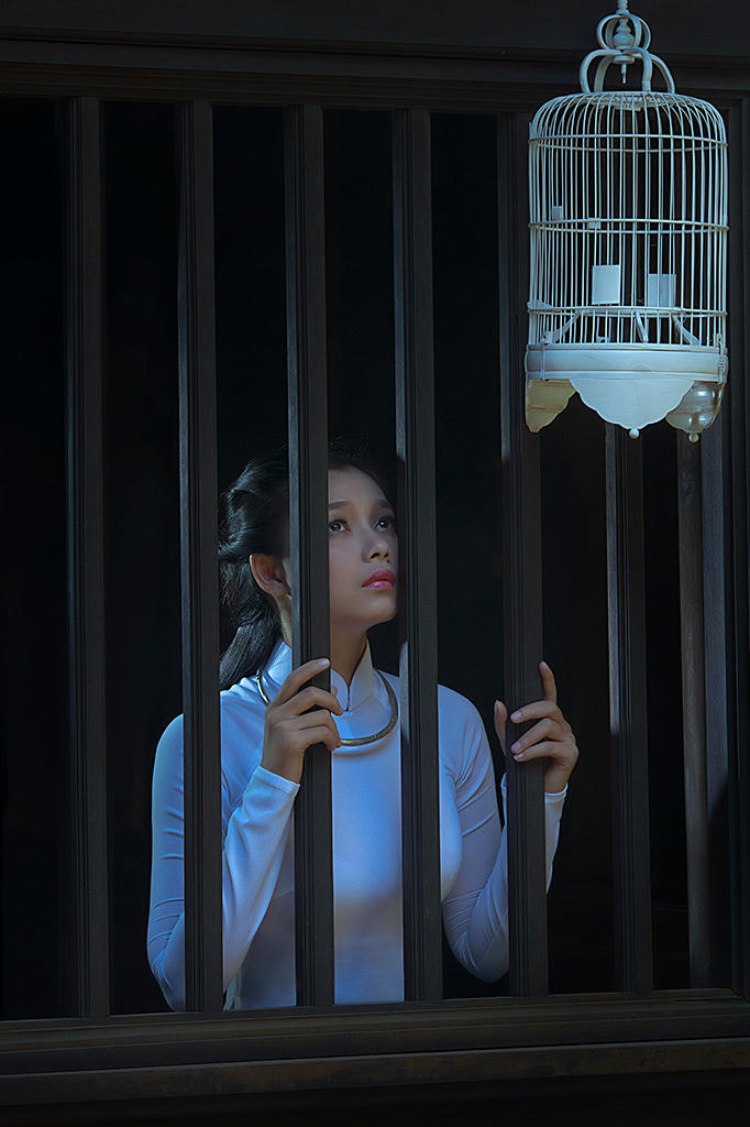 看着鸟笼的古装美女人像摄影图片