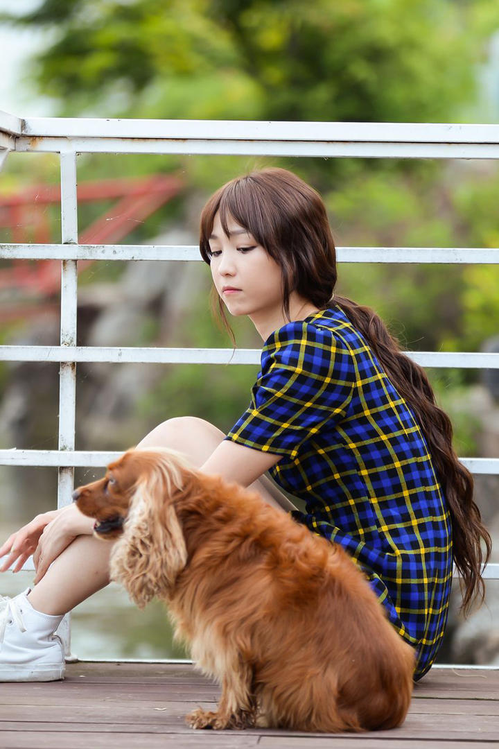 带着宠物狗的韩国美女明星李恩慧高清图片