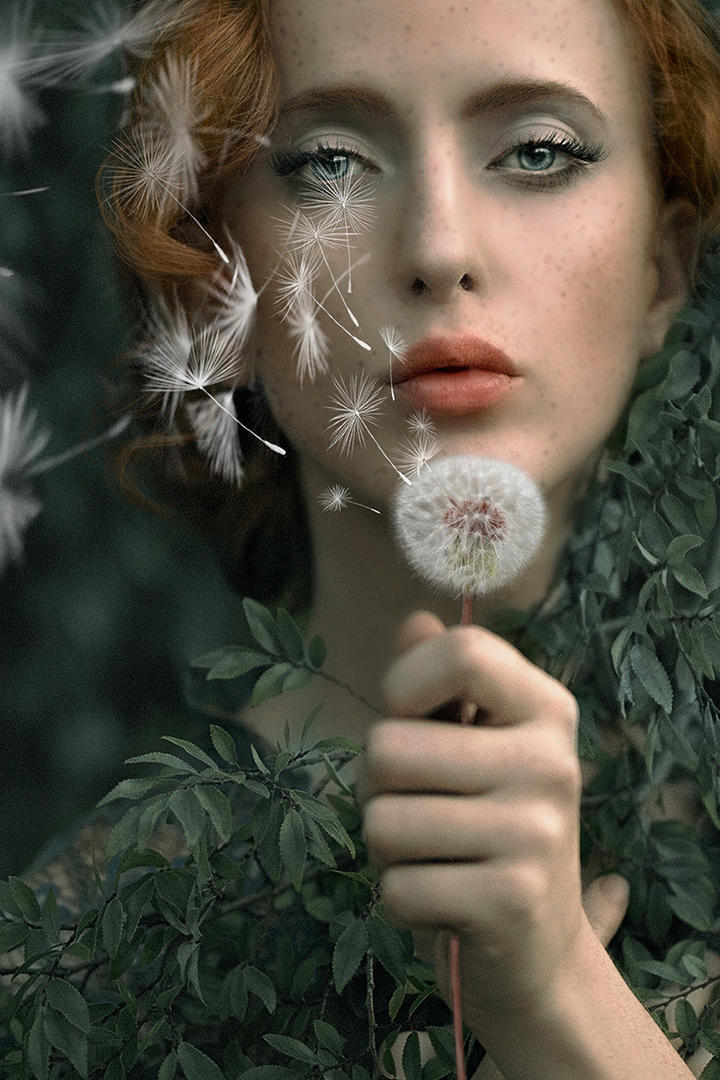 吹蒲公英的欧美美女壁纸图片