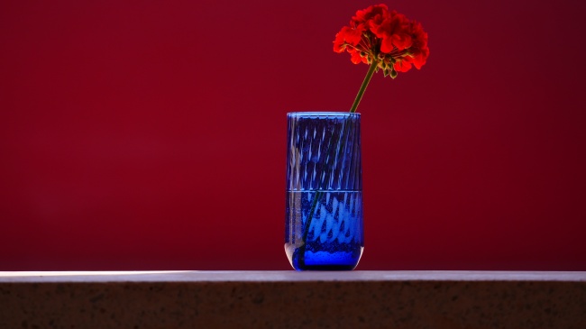 红色背景静物插花图片