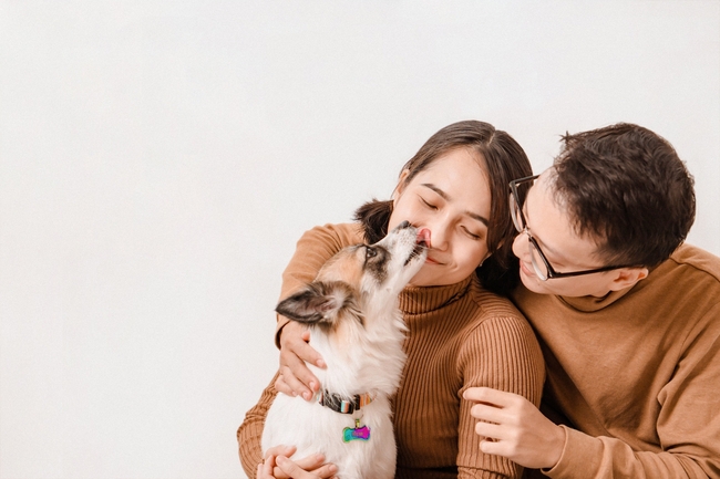 可爱狗狗和情侣写真图片