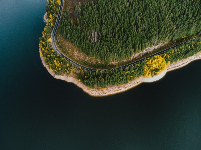 环海公路密林图片
