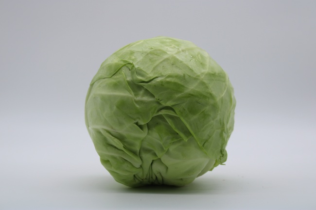 卷心卷心菜图片