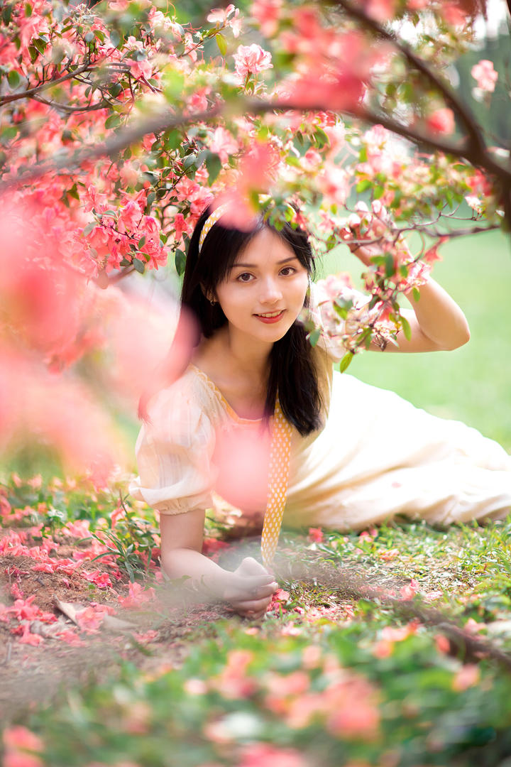 樱花树下清纯大学女生艺术写真集图片高清