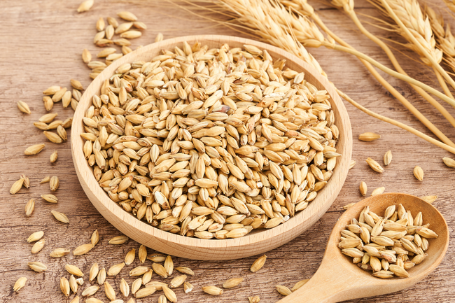 有机谷物小麦摄影图片
