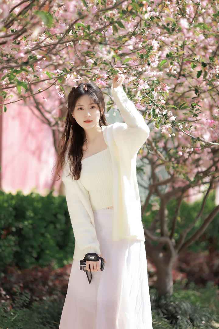 桃花树下的清纯女生唯美壁纸专区图片