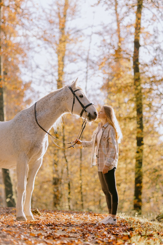 秋天骏马和美女写真图片