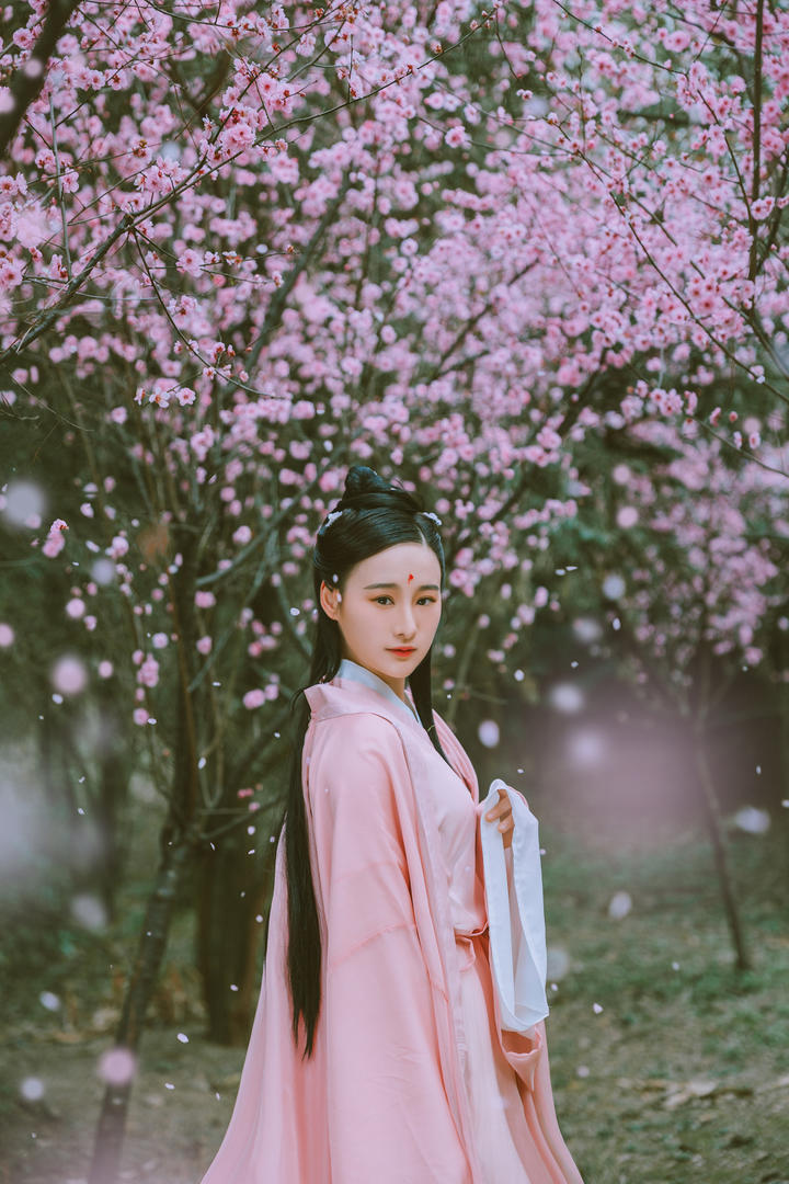 站在桃花林里的古装美女图片