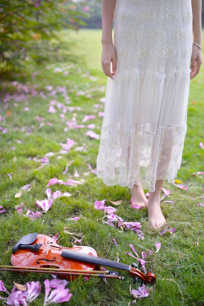 小提琴少女的花开花落