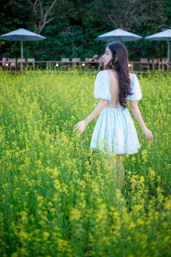 春天油菜花海性感美女背影图片