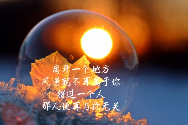 唯美小清新带字图片