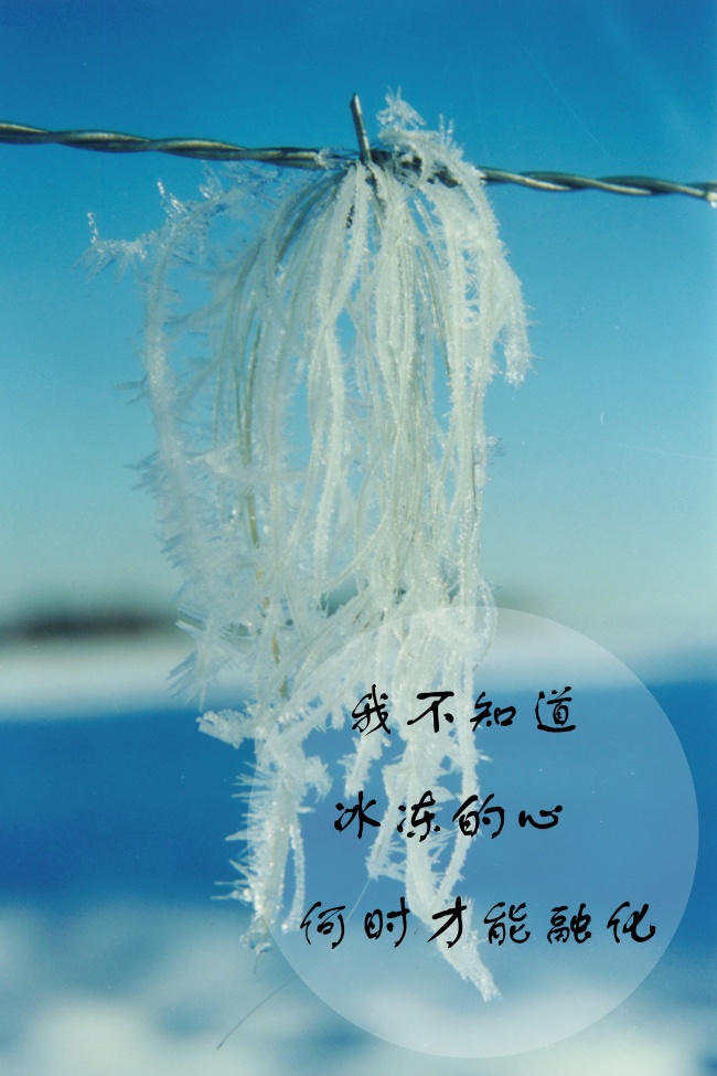 蓝色背景文字图片