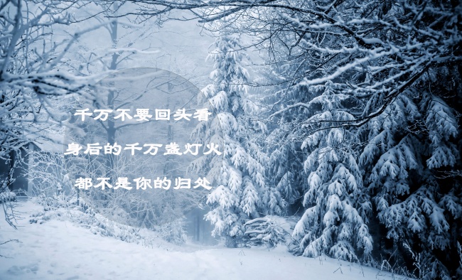 唯美冬季说说图片
