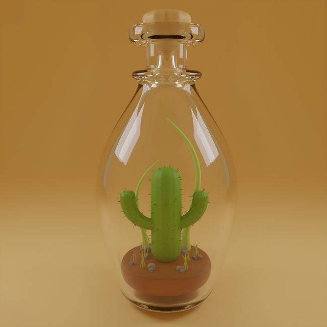 微景观仙人掌植物图片