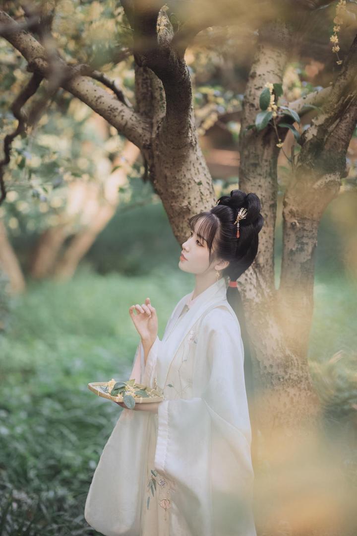 桂花树下的古装美女艺术写真图片