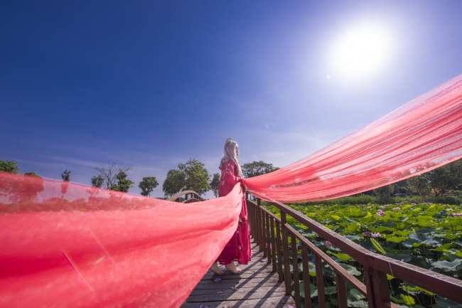 荷塘红色古风美女写真图片