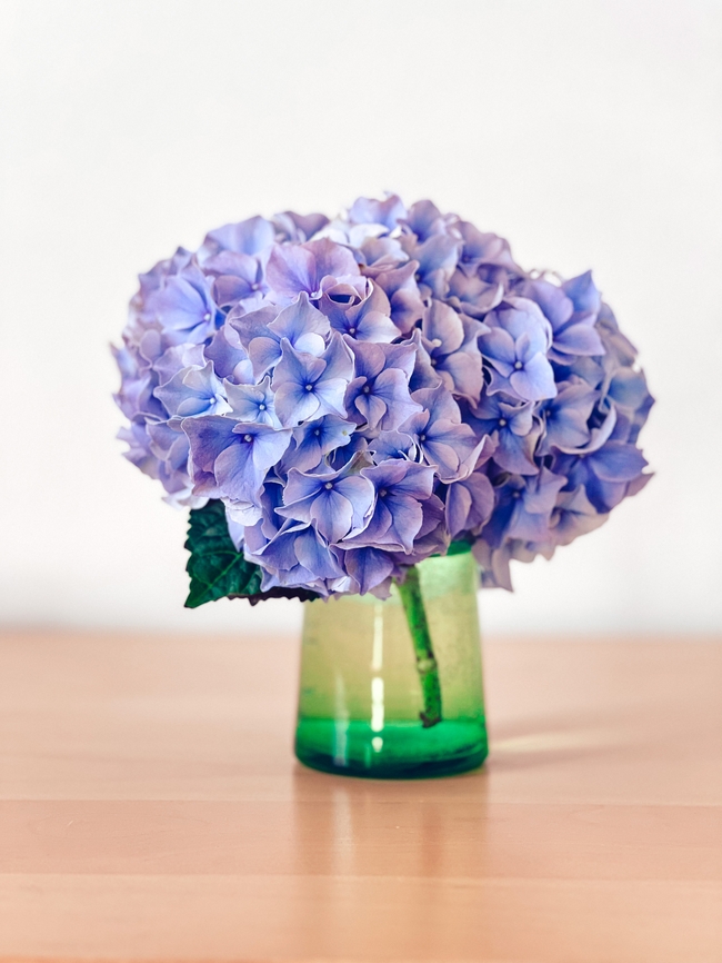 蓝色绣球花插花图片