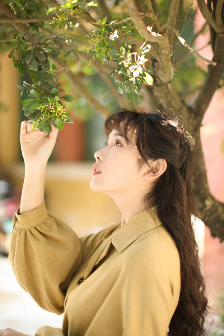 桂花树下的清纯美女黄子卿写真图片
