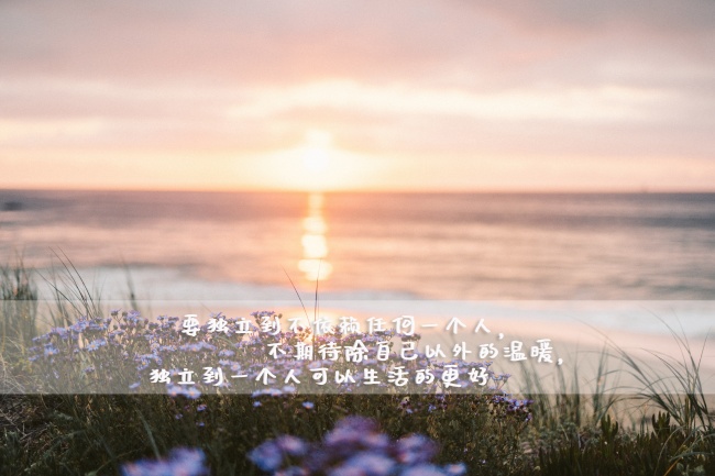 唯美生活文字控图片