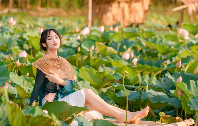 夏日荷塘古风古韵古典美女写真图片