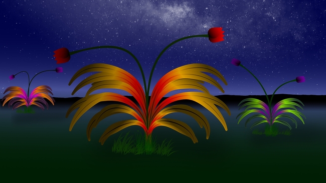 创意星空花卉卡通插画图片