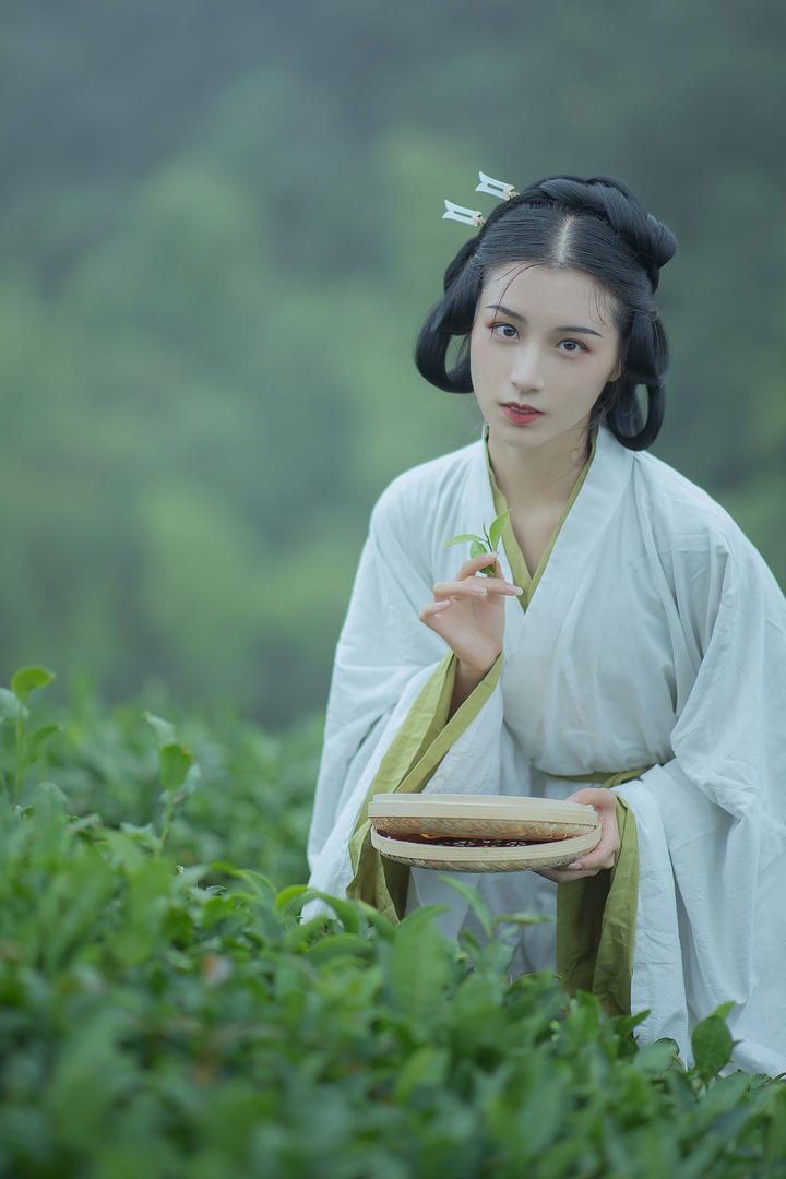 清新养眼古风唯美采茶女图片