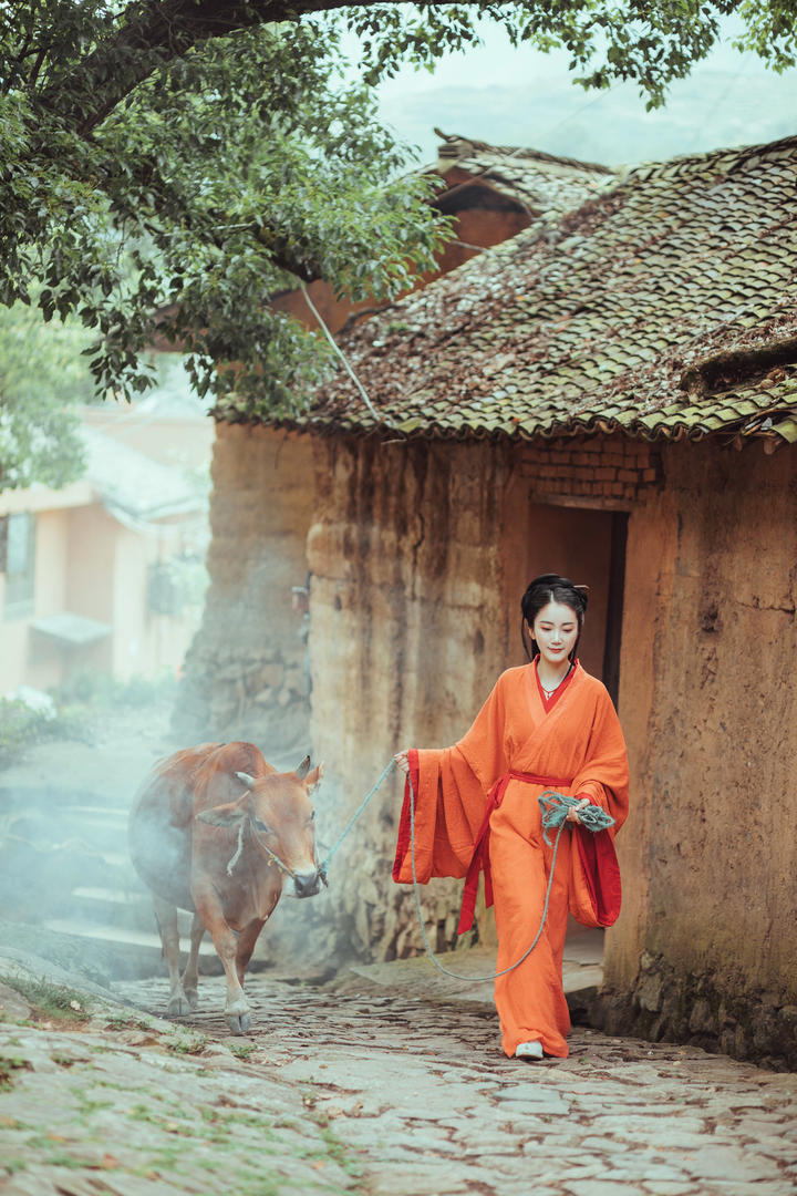 牵着黄牛走在乡间小路上的古典古风美女艺术照图片