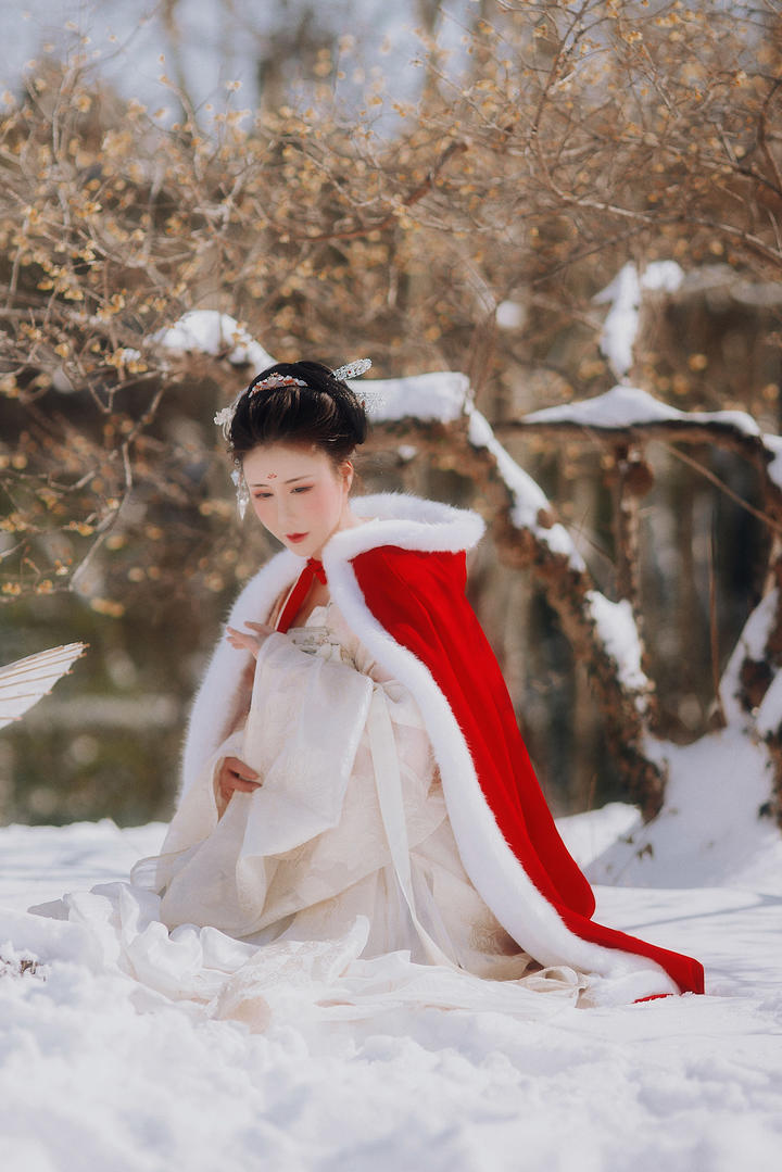 蹲在雪地里的高清古装美女图片