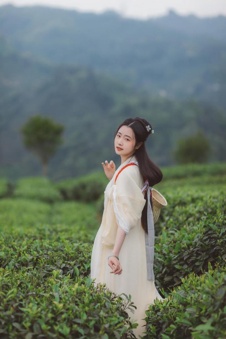 茶园里的唯美古装美女写真图片