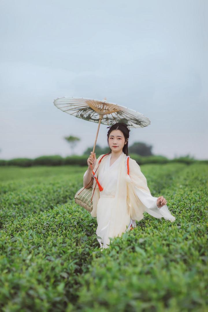 一袭白衣的采茶女古装美女图片