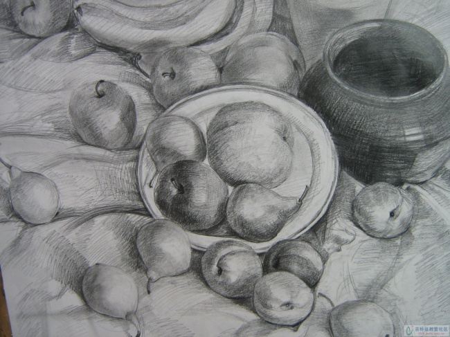 静物素描图片