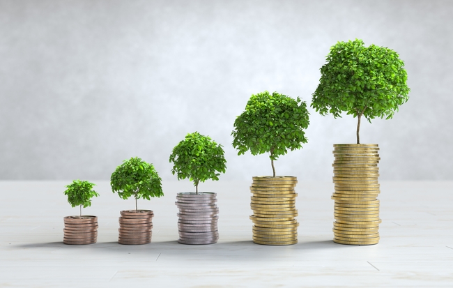 创意金币植物金融素材摄影图片