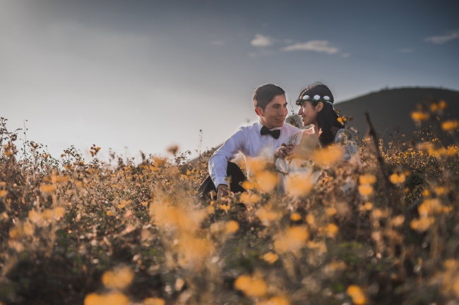 情侣花海婚纱照图片
