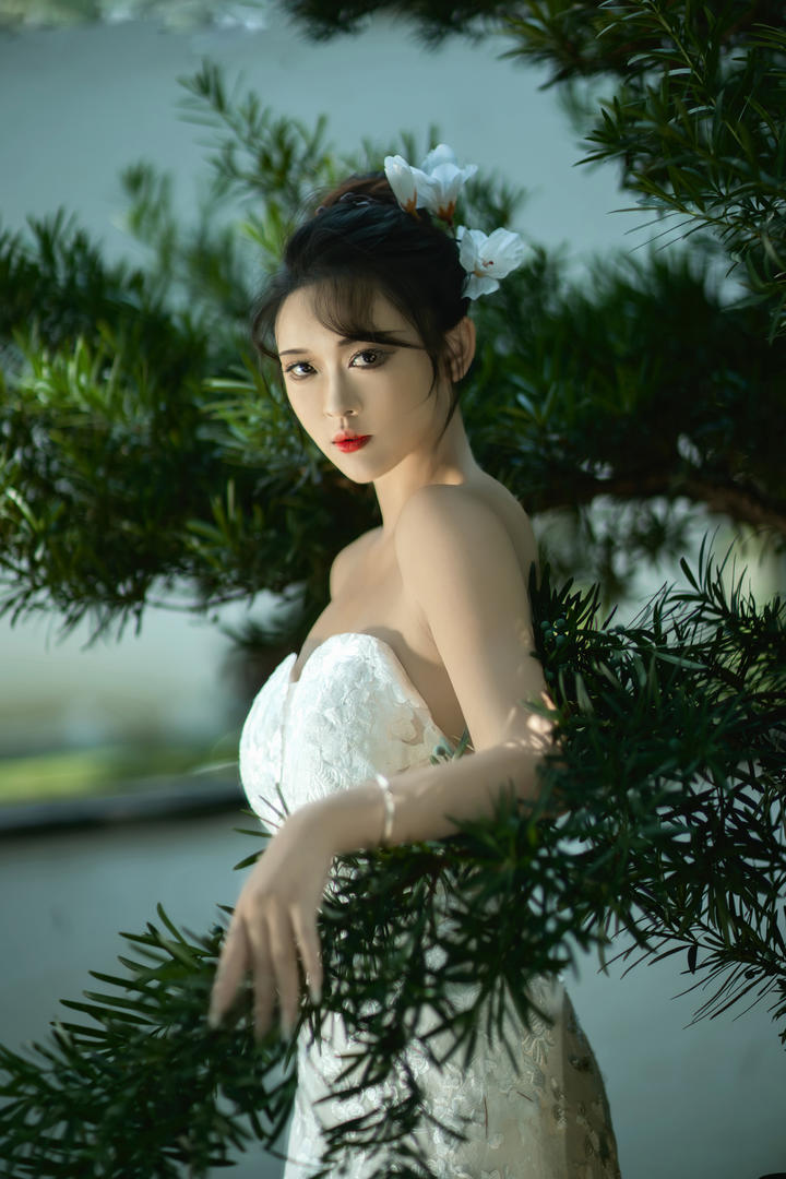 中国高清美丽的新娘子个人艺术写真摄影图片