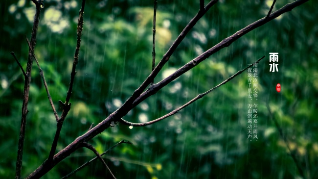 24节气雨水带字图片