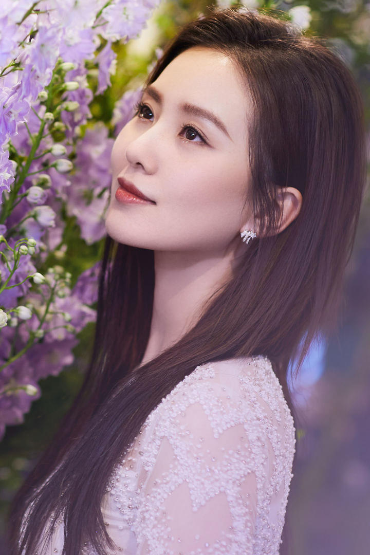 中国美女明星刘诗诗气质美女壁纸写真图片