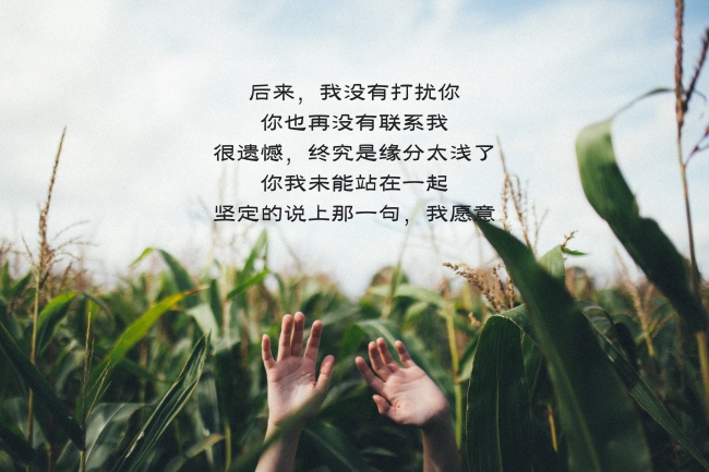 伤感文字生活语录图片
