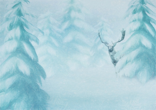 冬季唯美雪松背景图片