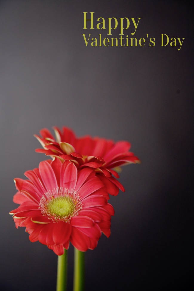 情人节鲜花图片