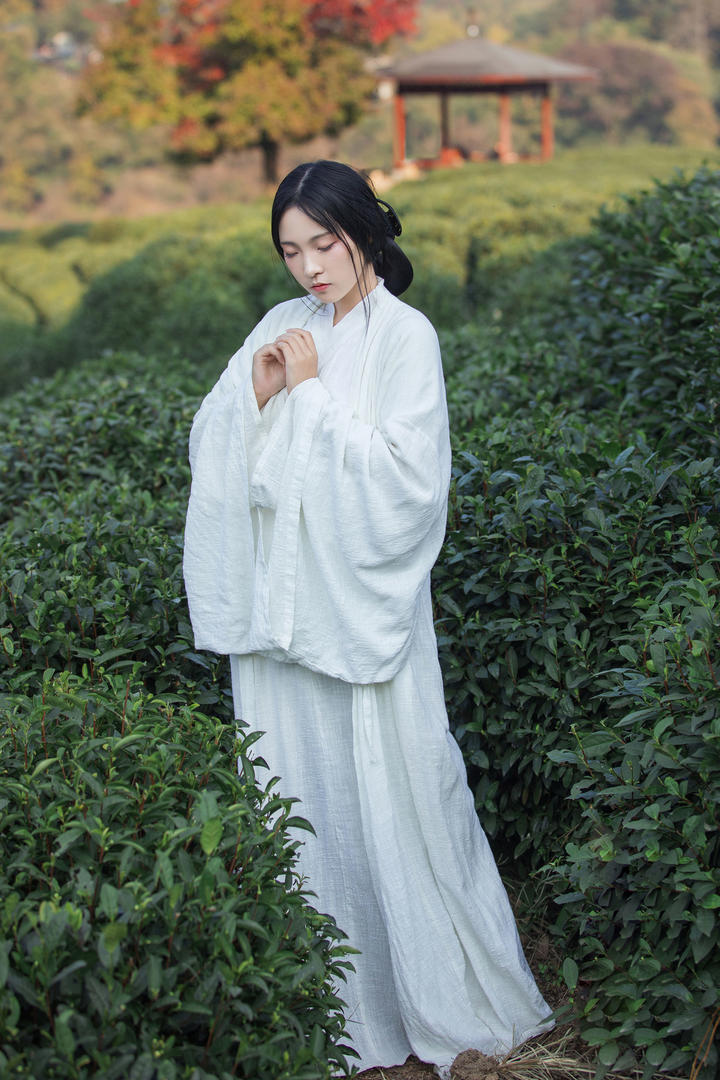 茶园里的白衣古装美女高清艺术照图片