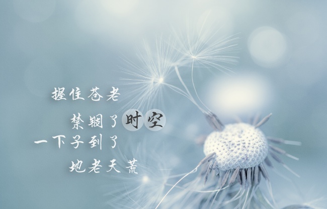 蒲公英带字图片