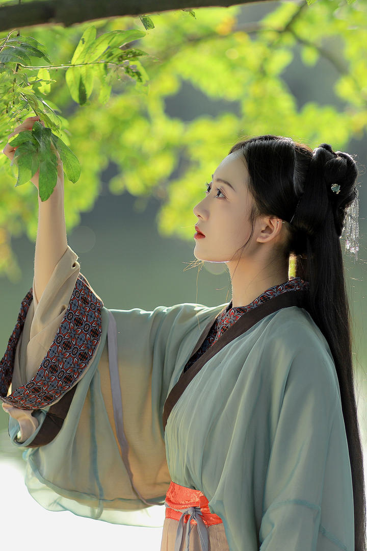 摘树叶的唯美古装汉服美女壁纸图片