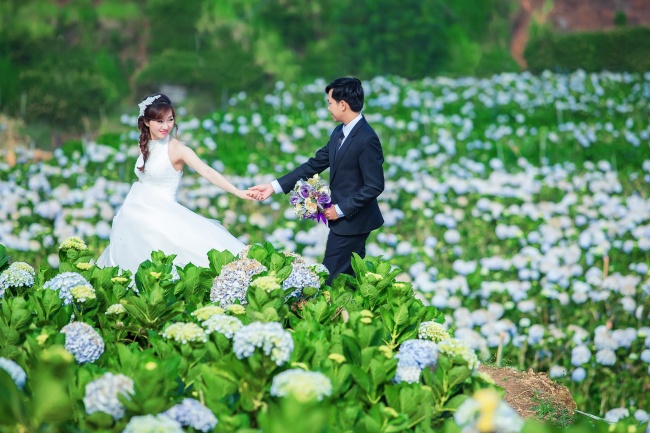 花田情侣婚纱摄影图片