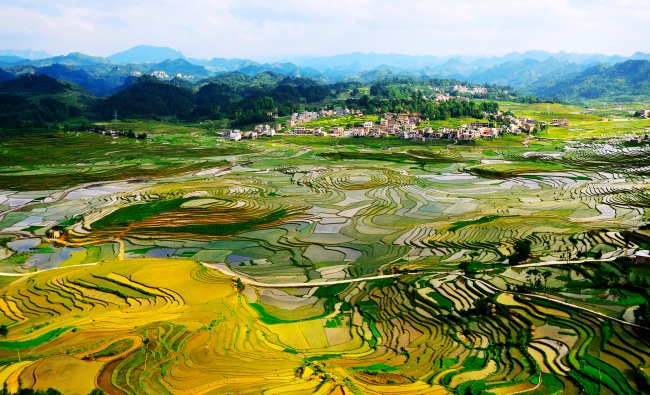 巴平小梯田全景图片