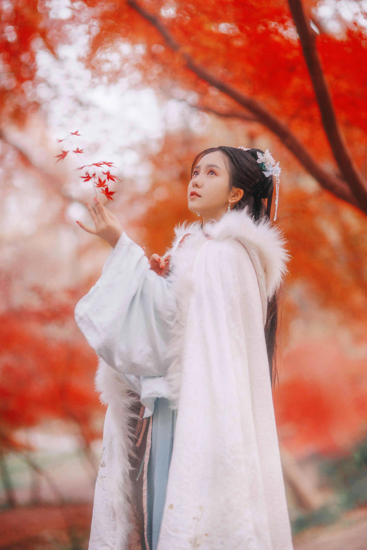 高清唯美枫叶下的古装美女图片