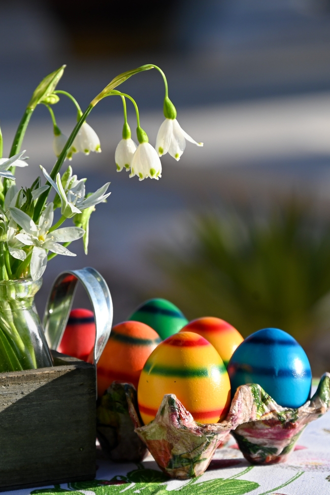 春天雪莲花彩蛋摄影图片