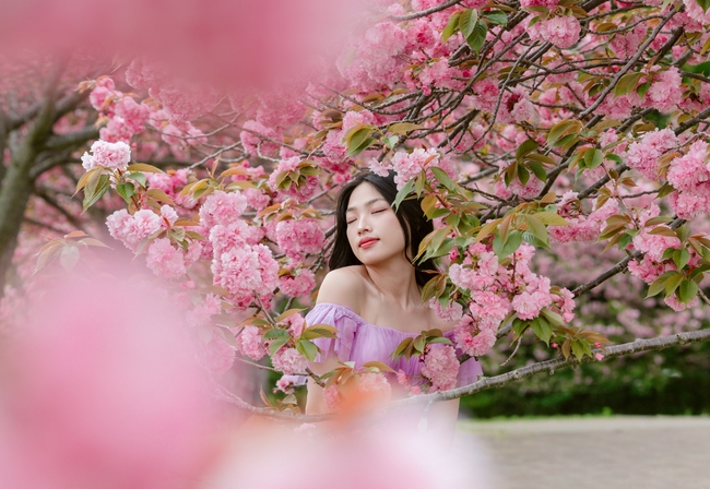 春天樱花林性感美女写真图片