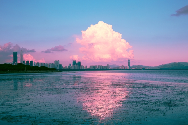 深圳湾城市景观图片