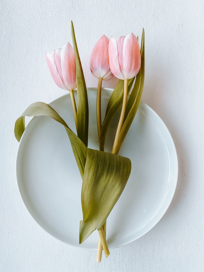 盘子上的粉红色郁金香图片