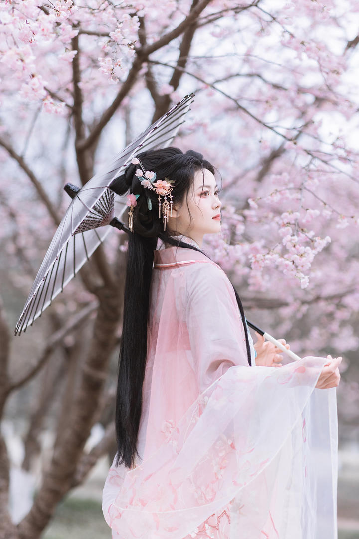 樱花树下的古装汉服美女高清图片